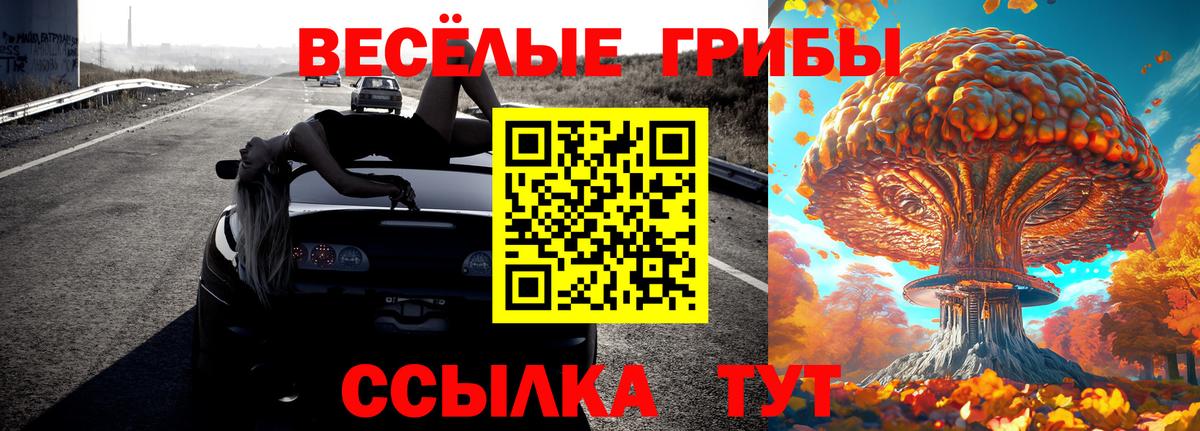 Псилоцибиновые грибы прущие грибы Минусинск