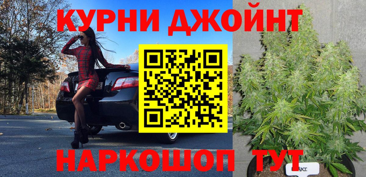 Каннабис сатива Минусинск